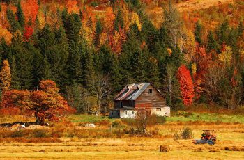 گالری تصاویر طبیعت زیبای ایران
